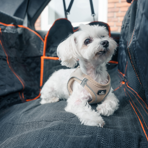Petnest TravelPad