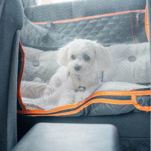 Petnest TravelPad