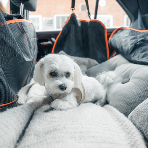 Petnest TravelPad